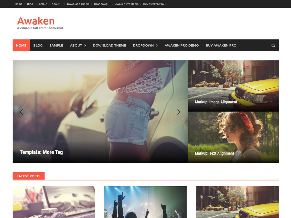 Best Free Responsive WordPress Magazine Themes: Awaken