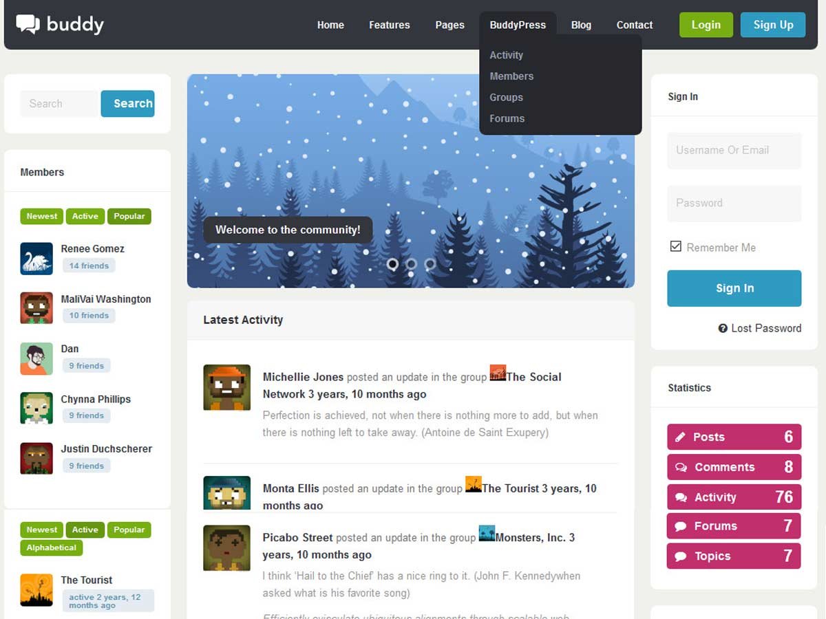 buddy: Best BuddyPress WordPress Themes