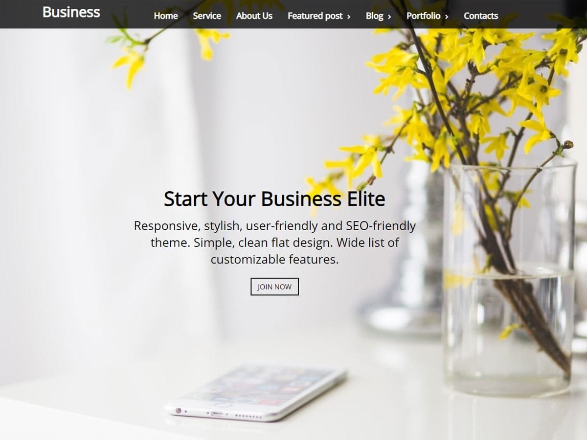 Business-Elite-Theme