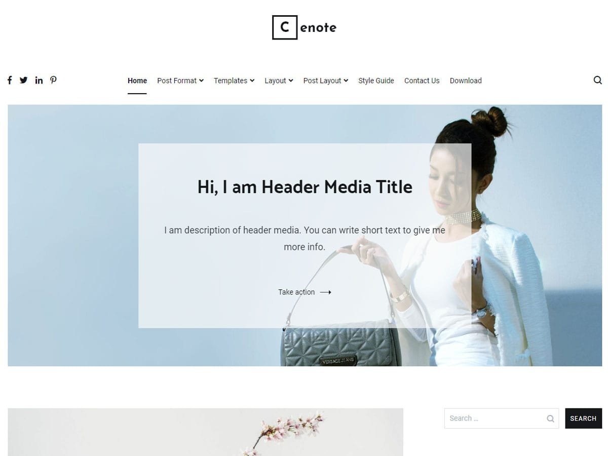 Free WordPress Themes- Cenote