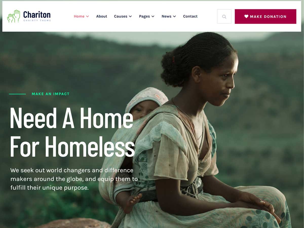 Best WordPress Themes for Non-profit Organization: Chariton