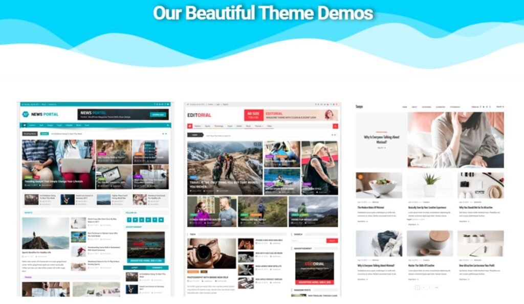 WordPress Theme for Niche Market: Demos