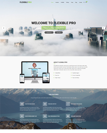 premium one page parallax WordPress