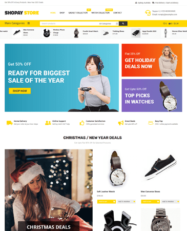 Free Ecommerce Store WordPress Theme